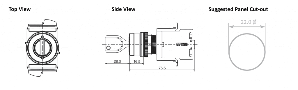 Drawing of RJSAS22E keylock switch, non illuminated, terminal block, rjs electronics ltd