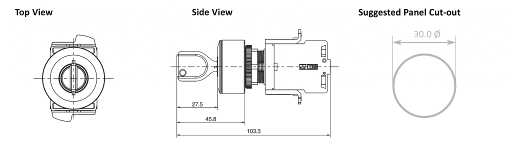 Drawing of RJSAS30E Key Lock Switch, terminal block, non-illuminated, rjs electronics ltd