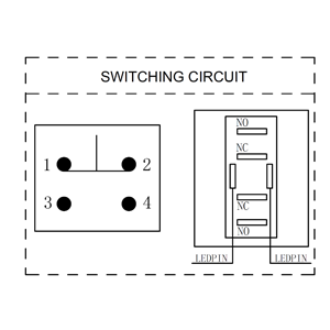RJS103-22L-MD-Panel Mount, Push Button Switch with LED illumination. Dot Illumination_ RJS ELECTRONICS LTD. - Circuit Switch Drawing