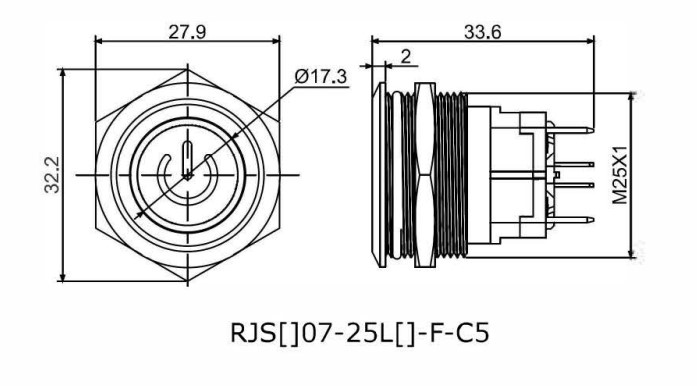 High current antivandal push button switches, rjs electronics ltd