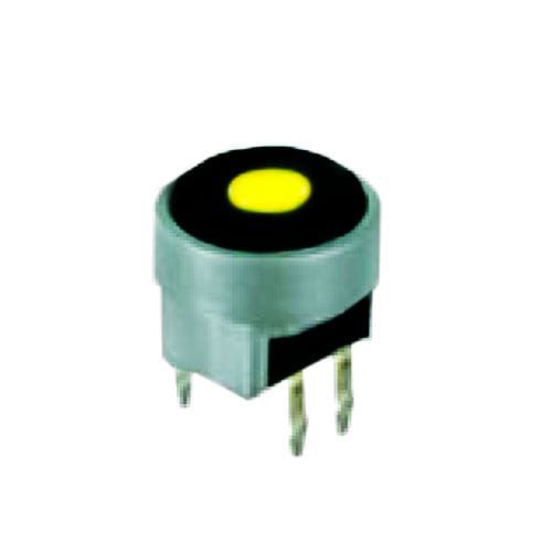 SPF Round - Image 2