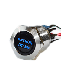 push button switch with custom led illumination, panel mount button